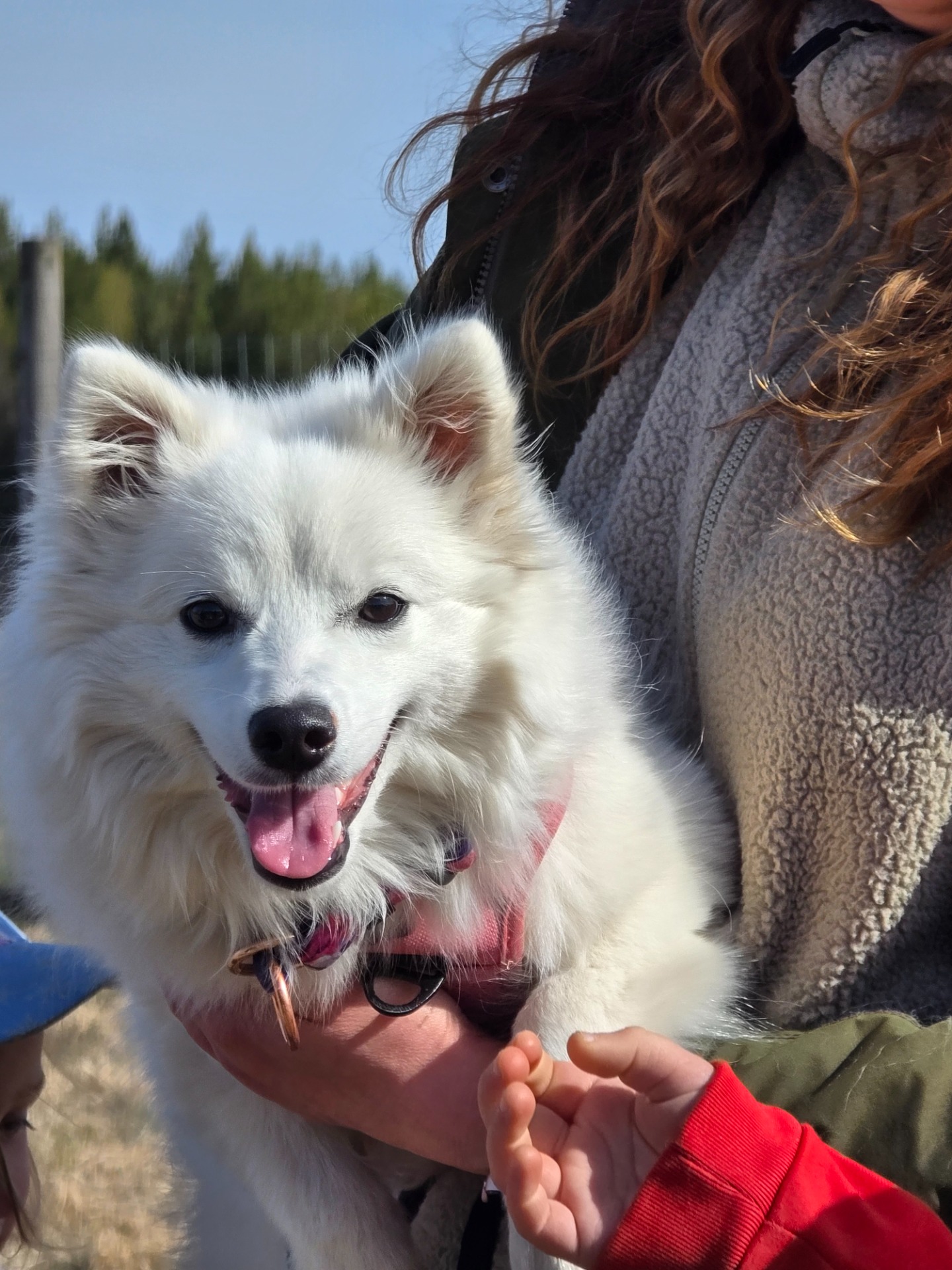 Lumi